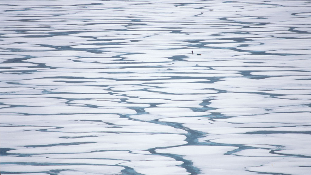  Mike Sharp crossing a network of meltwater channels on the sea ice 