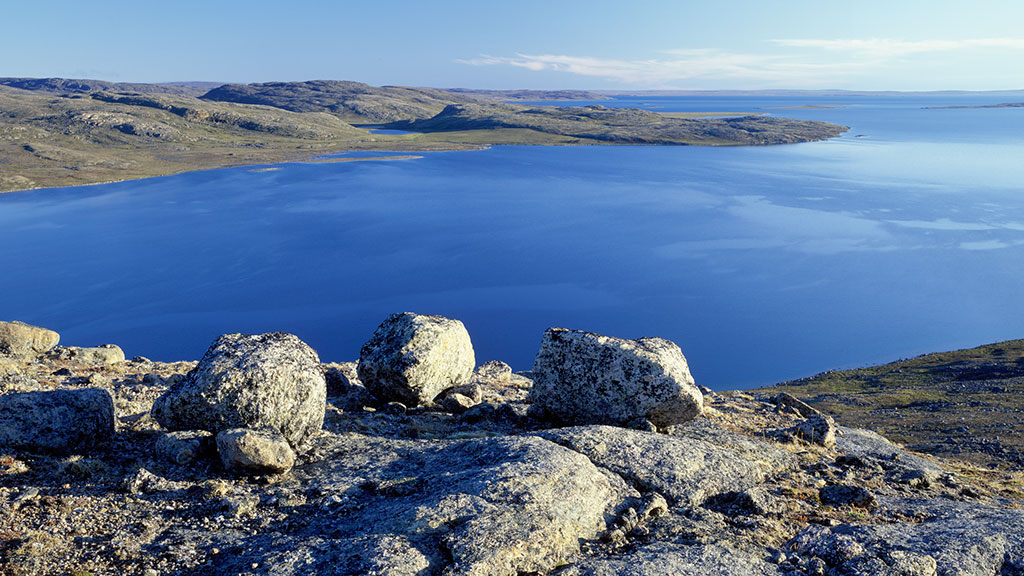  Glorious tundra: Mingo Lake 