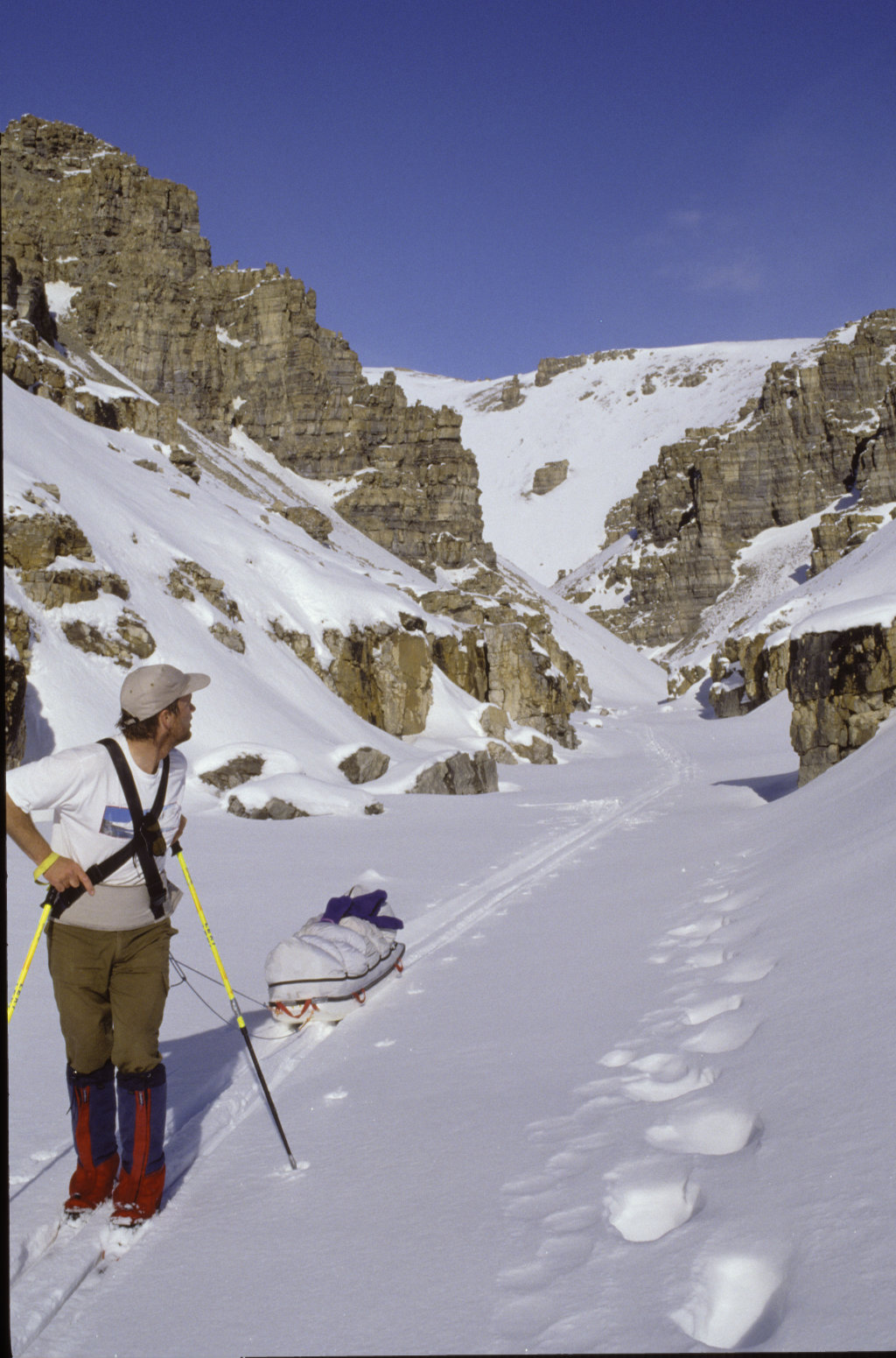 John on solo trip: polar bear prints   John on solo trip: polar bear prints