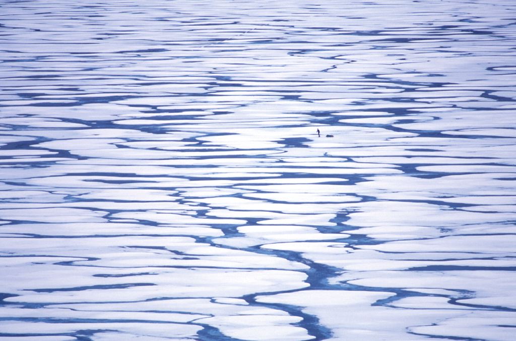 Sea ice drainage patterns   Sea ice drainage patterns