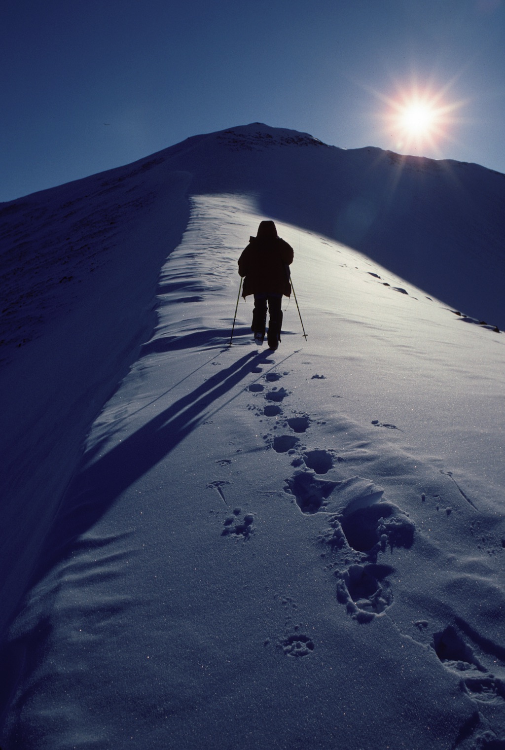 Graeme Magor climbing Varsity Mountain, Ellesmere Island : 81° 57' N, 70° 54' W   Graeme Magor climbing Varsity Mountain, Ellesmere Island : 81° 57' N, 70° 54' W