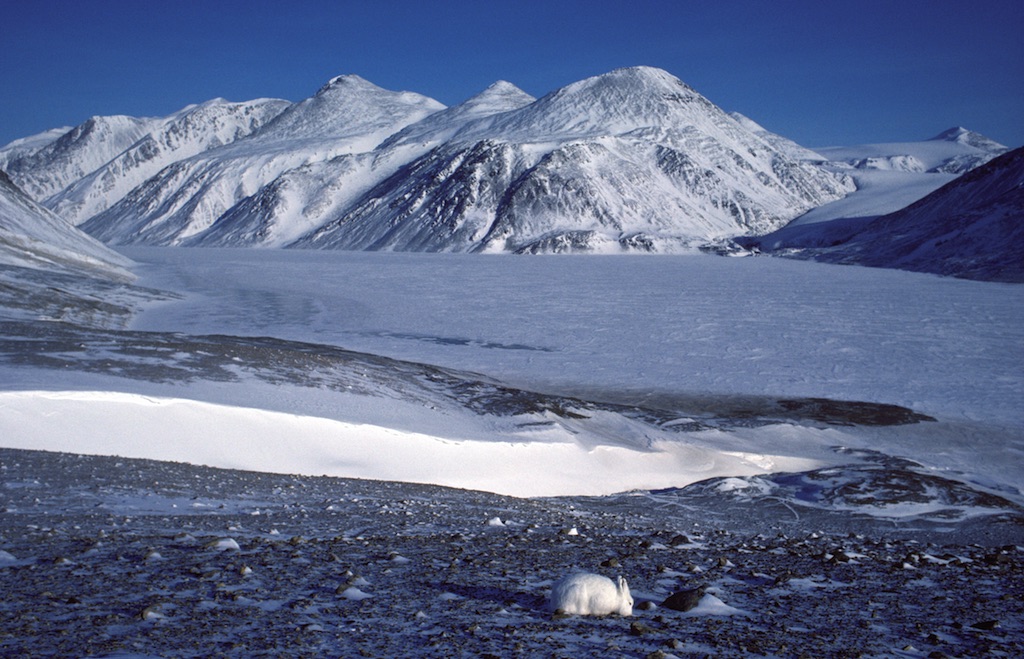  Pyper Pass, Quttinirpaaq National Park 