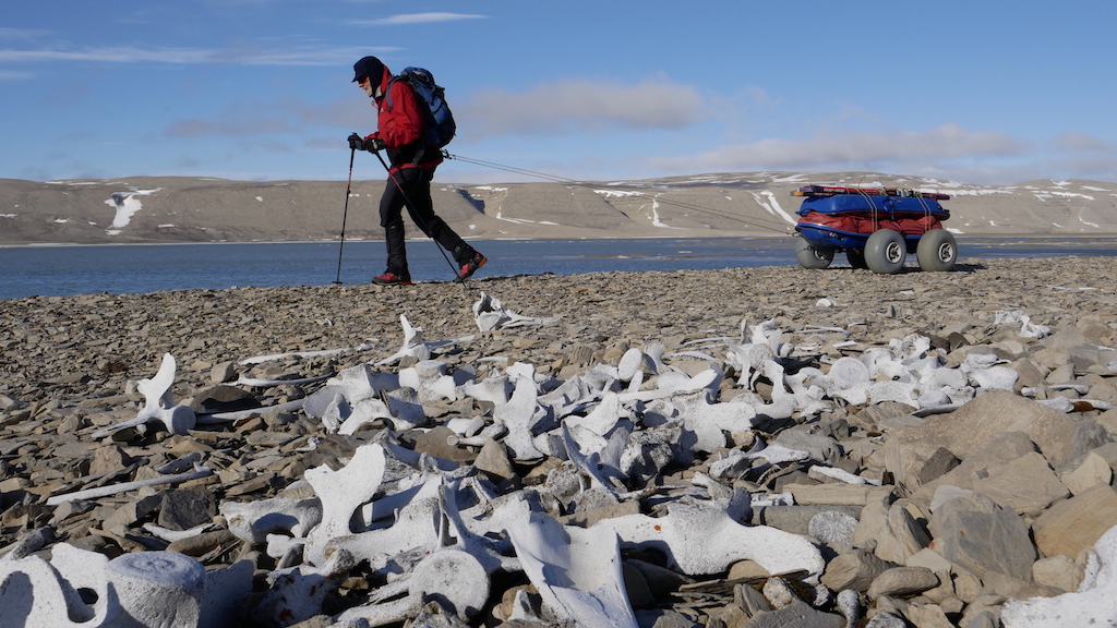  Sandy Briggs, Elwin Inlet, Somerset Island 