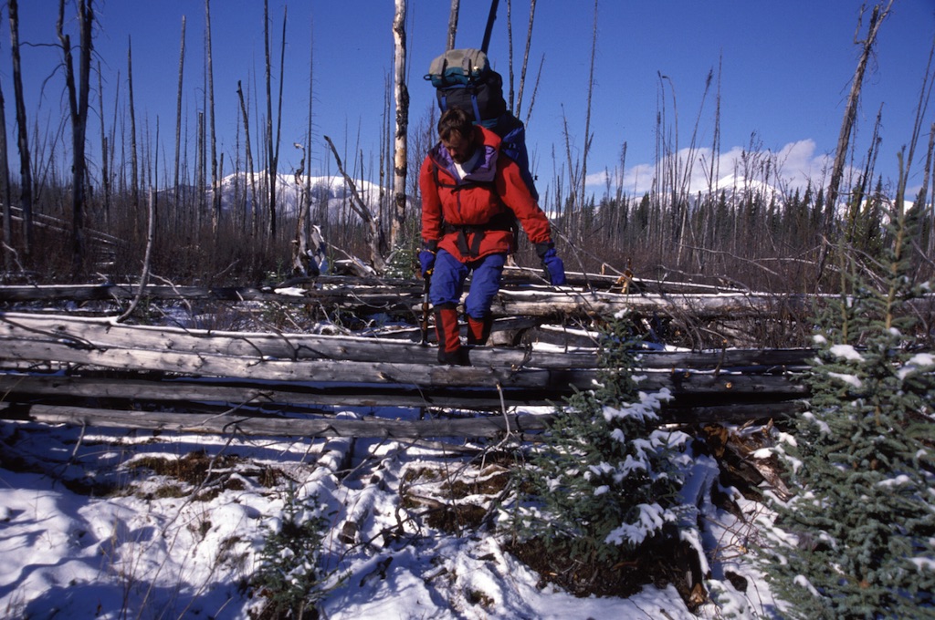  John negotiating deadfall near Chesterfield Lake, Kwadacha wilderness 