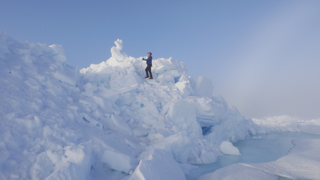  Sandy Briggs on Somerset Island coast 