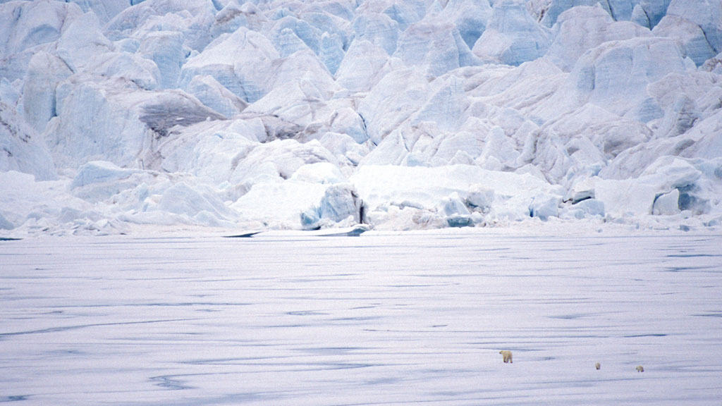  Mother polar bear and cubs at the head of Croker Bay...hoping to keep away from adult male bears 