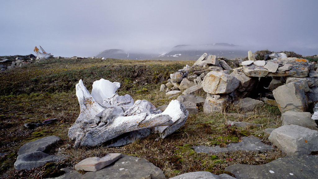  Thule culture Inuit winter house and bowhead whale bones 